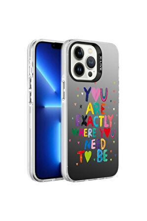 Apple iPhone 13 Pro Max Uyumlu Kılıf Desenli Zore Silver Sert Kapak You