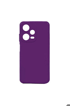 Xiaomi Redmi Note 12 Pro 5G Uyumlu Kılıf Zore Biye Silikon Mor