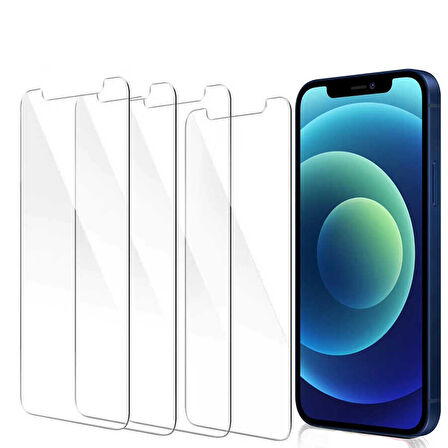 Apple iPhone 16E Uyumlu Zore Nano Micro Temperli Ekran Koruyucu