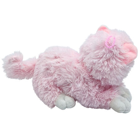 Soft Toy Iri Gözlü Ses Çıkaran Peluş Kedi PL626962