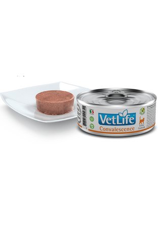 Vet Life Convalescence Feline Formula Kedi Yaş Maması 85 Gr