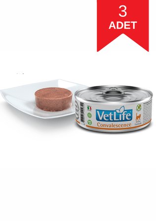 Vet Life Convalescence Feline Formula Kedi Yaş Maması 85 Gr X 3 Adet