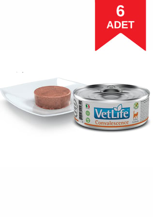 Vet Life Convalescence Feline Formula Kedi Yaş Maması 85 Gr X 6 Adet