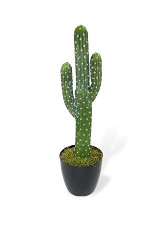 Yapay Çiçek Kaktüs Ağacı 3Kollu Siyah Saksıda 56*15cm sk4019
