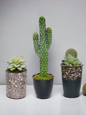 Yapay Çiçek Kaktüs Ağacı 3Kollu Siyah Saksıda 56*15cm sk4019