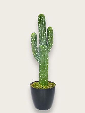Yapay Çiçek Kaktüs Ağacı 3Kollu Siyah Saksıda 56*15cm sk4019