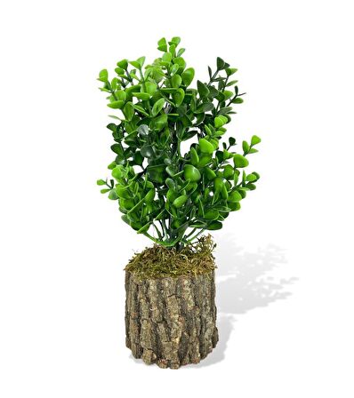 Yapay Çiçek Doğal Kütük Odun Saksıda Jumbo Şimşir Okaliptus Masa Çiçeği