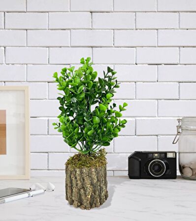 Yapay Çiçek Doğal Kütük Odun Saksıda Jumbo Şimşir Okaliptus Masa Çiçeği