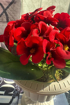 Yapay Çiçek Krem Antik Saksıda Kırmızı Kadife Menekşe Gerçekçi Doku 22cm