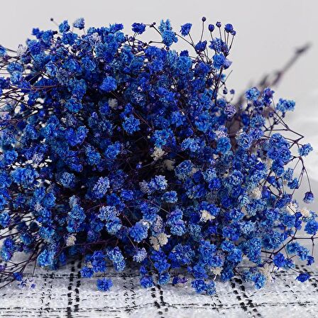 Kuru Çiçek Doğal MOR Cipso 50gram 1. Kalite Şoklanmış Bozulmaz