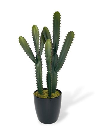 Yapay Çiçek Kaktüs Ağacı 3Köşeli 3Boy Siyah Saksıda 70*30cm sk4020