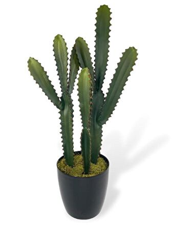 Yapay Çiçek Kaktüs Ağacı 3Köşeli 3Boy Siyah Saksıda 70*30cm sk4020