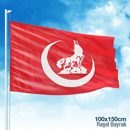 Bozkurt Hilal Kırmızı Sancak Bayrak Mhp -100x150cm