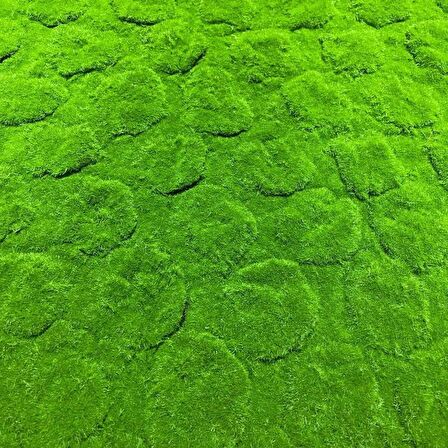 Yapay Çiçek Duvar Kaplama Yosun Paneli 1M2 100*100CM Moss Dik Duvar Uygulama