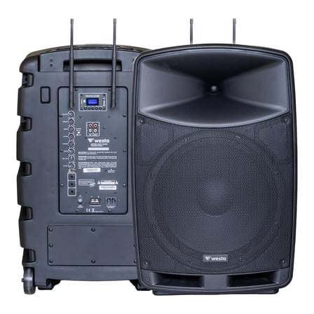 Westa WAP-12505 300W 2 Yollu Hoparlör Taşınabilir Kabin Hoparlör Ses Sistemi Bluetooth 2 Mikrofonlu