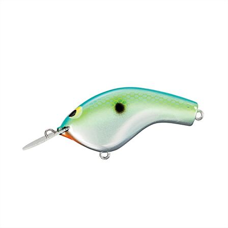 Shimano Bantam Macbeth Flat AR-C 57mm 9g LRF Yemi 009 Citrus MR