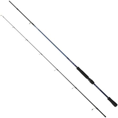 Daiwa Team Daiwa 2.44m 7-28gr 2P Spin Olta Kamışı