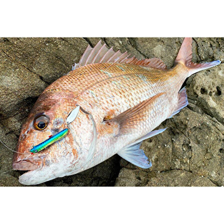 BlueBlue Metal Shalldus 6.7 CM 45G Kaşıklı Jig Yem 07