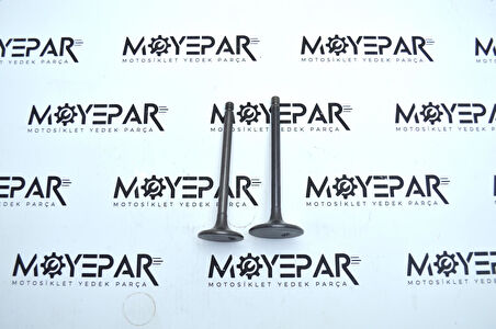 XMAX 29 YAMAHA XMAX 250 SUBAP TAKIMI