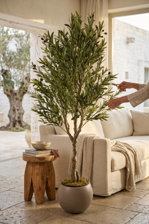 Yapay Zeytin Ağacı Doğal Kök Detaylı Büyük Dolgun Model Mokka Plastik Küre Saksıda 200cm Yapay Ağaç