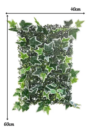 Yapay Çiçek Duvar Kaplama Panel YeşilBeyaz Sarmaşık Hedera Tabaka 40x60cm Dik Duvar Uygulama