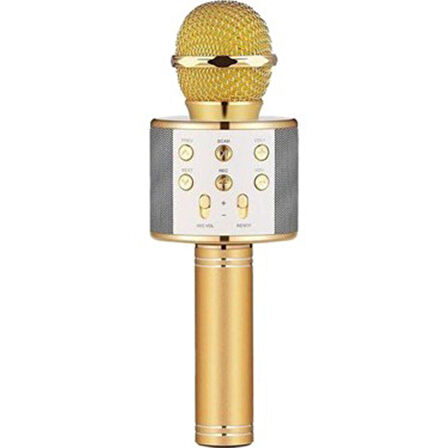 Global UsbA+TF Sd Kart+3.5mm Aux Girişli Bluetooth Karaoke Mikrofonu Gold WNE0070