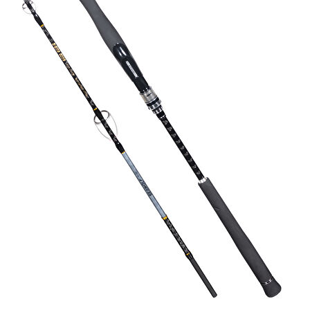 Ryuji Seawolf Plus Fuji 1.98m 30-150gr 2P Jig Olta Kamışı