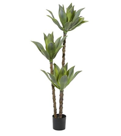 Yapay Ağaç Agave Ağacı 3Gövdeli 160 cm Premium Kalite