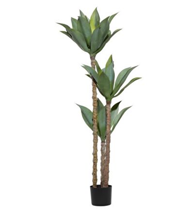 Yapay Ağaç Agave Ağacı 3Gövdeli 160 cm Premium Kalite