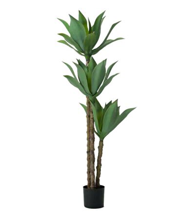Yapay Ağaç Agave Ağacı 3Gövdeli 160 cm Premium Kalite