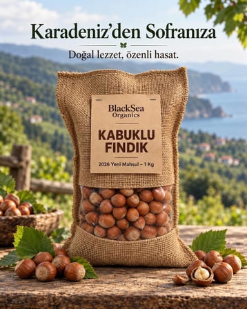 BlackSea Organics Yeni Mahsul Kabuklu Fındık 1 Kg