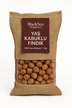 BlackSea Organics 2025 Yeni Mahsul Yaş Kabuklu Fındık 1 Kg