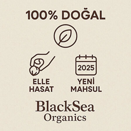 BlackSea Organics 2025 Yeni Mahsul Yaş Kabuklu Fındık 1 Kg