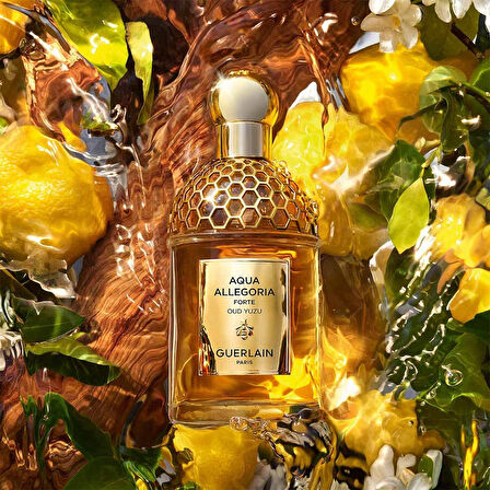 Guerlain Aqua Allegoria Forte Oud Yuzu 75 ML EDP Kadın Parfüm