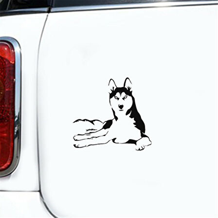 Husky Köpek Araba Sticker Yapıştırması 2