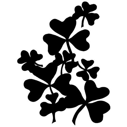 Yonca Araba Sticker Yapıştırması 2