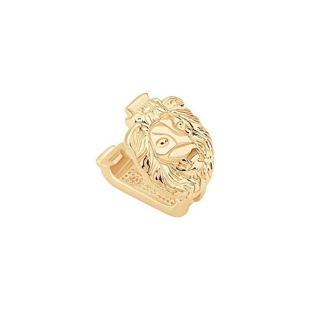 Aslan Charm