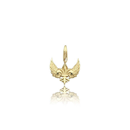 Kuş Kanadı Charm