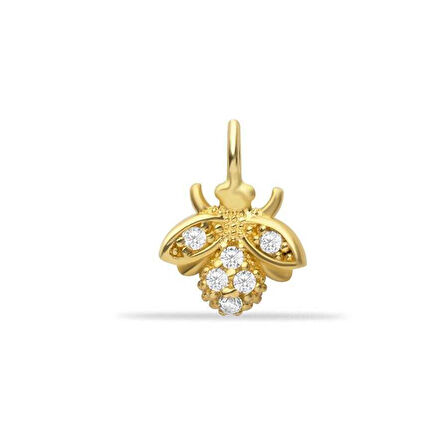 Arı Charm
