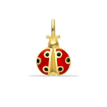 Uğur Böceği Charm