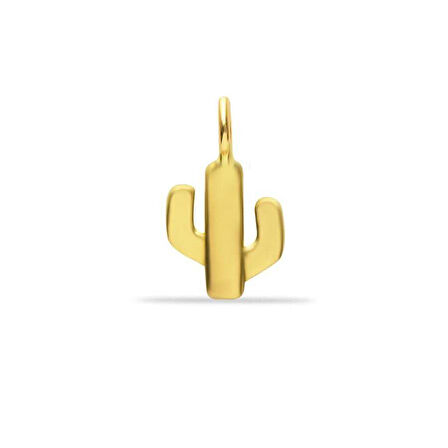 Kaktüs Charm
