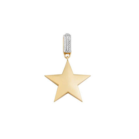 Type 3 Yıldız Charm