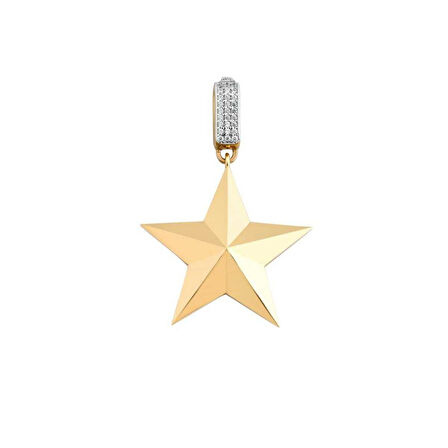 3D Yıldızlı Charm