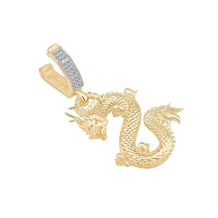 Taşlı Ejderha Charm