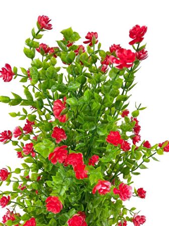 Yapay Çiçek Siyah Saksıda Kırmızı Mineli Şimşir Ağacı 55cm