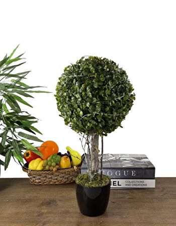 Led Işıklı Şimşir Top Yılbaşı Ağacı Tek Toplu 23cmx45cm Siyah Saksılı