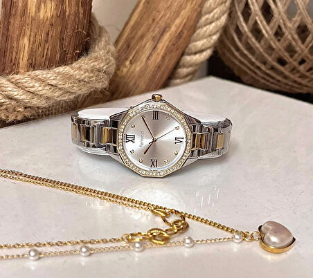 Ferrucci Modern Kasa Şık Çelik Kadın Kol Saat+%100 Çelik Kolye Hediye