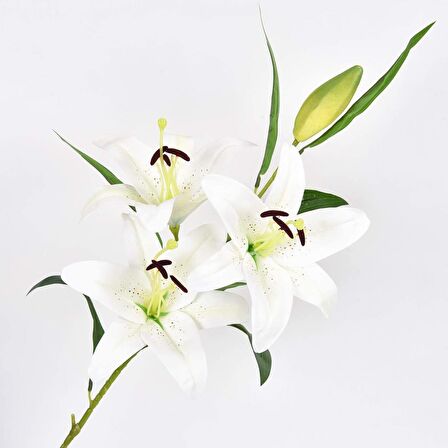 Yapay Çiçek Lilyum 3 Kafalı Islak Zambak 80cm Beyaz
