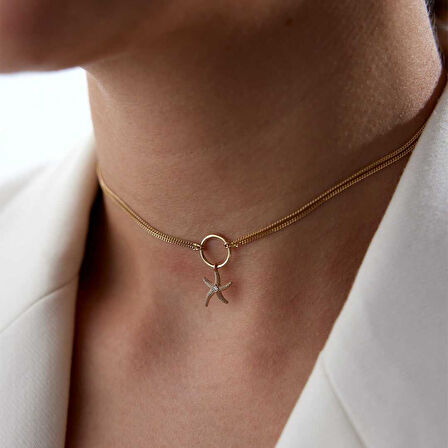 Deniz Yıldızı Chooker