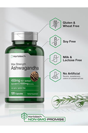 Ashvagannd*a Supplement | Max Strength | 120 Capsules al